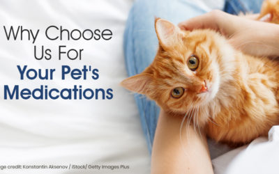 Why Choose Us For Your Pet’s Medication