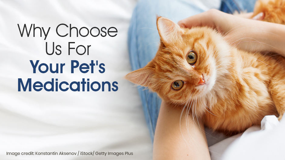 Why Choose Us For Your Pet’s Medication