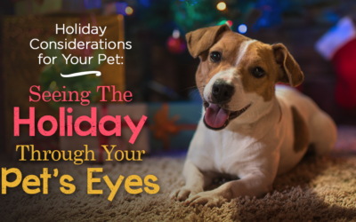 Holiday Considerations for Your Pet: Seeing The Holiday Through Your Pet’s Eyes